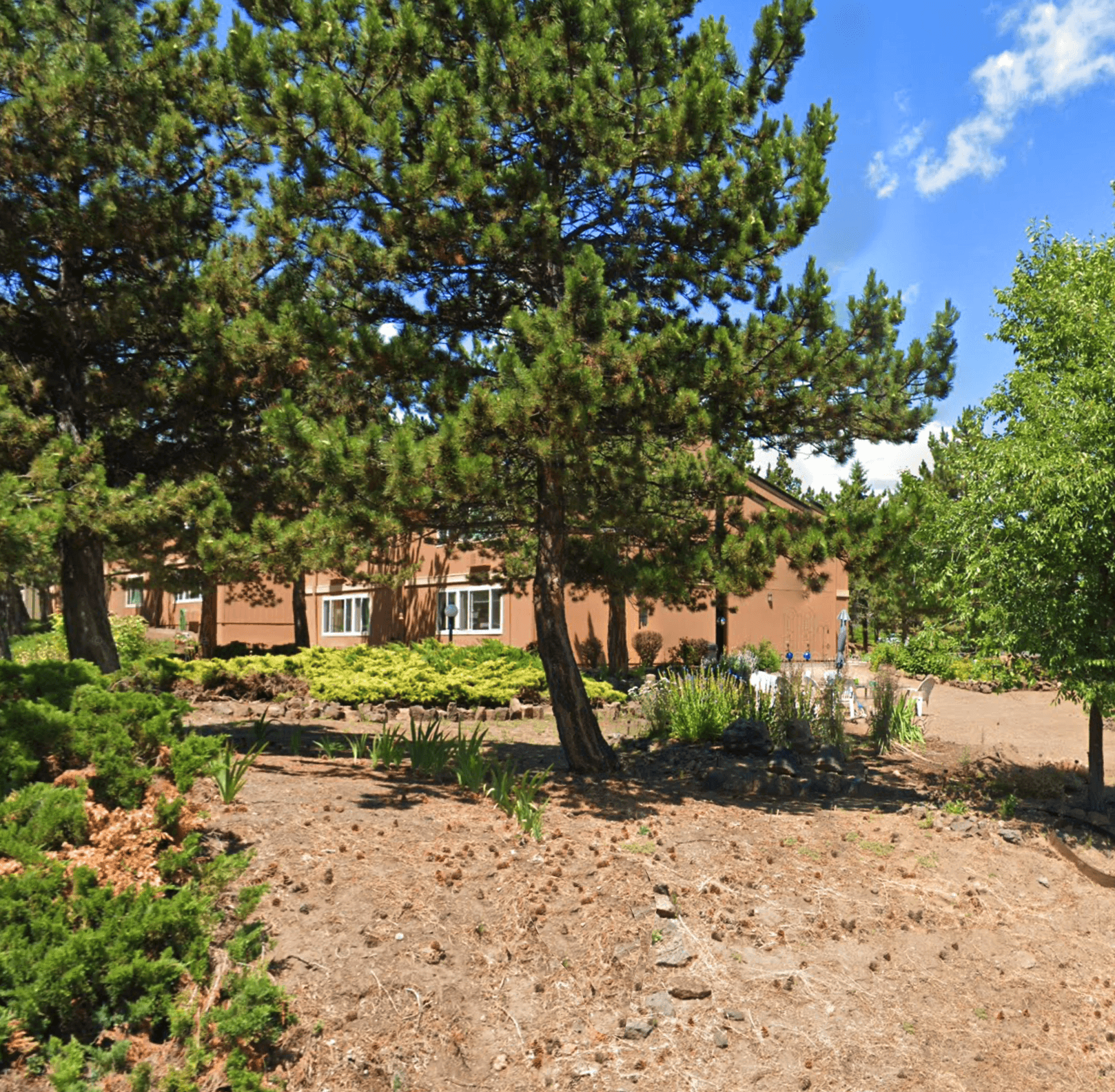 a garden with trees and a house in the background
